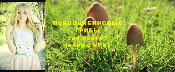 ALPHA-PVP Алзамай