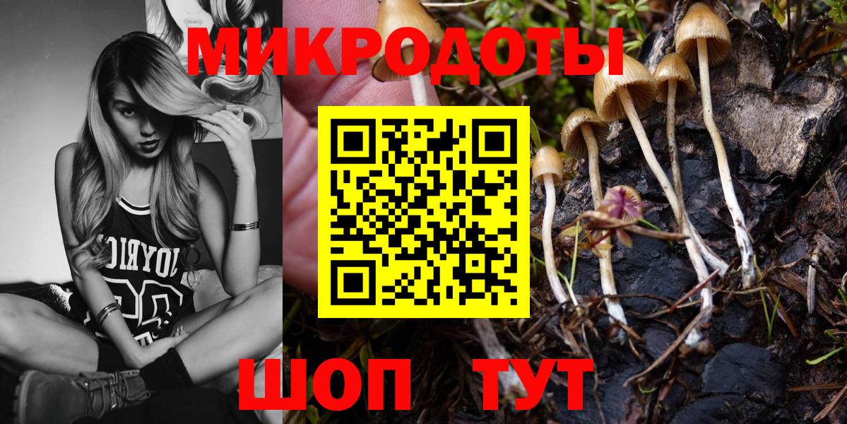 Северодвинск  Галлюциногенные грибы прущие грибы  Вход с VPN  Псилоцибиновые грибы MAGIC MUSHROOMS 