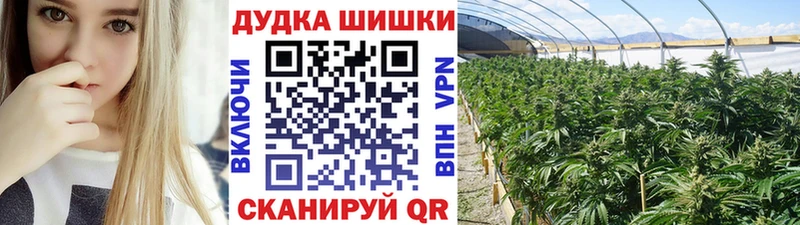 Каннабис SATIVA & INDICA Северодвинск